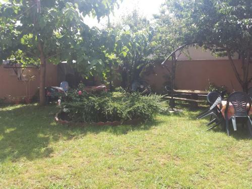 Hostal Vila Luceafarul