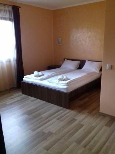 Hostal Pensiunea Damiris