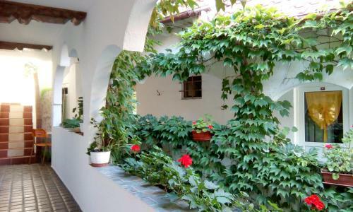Hostal Casa Ad-ella 2