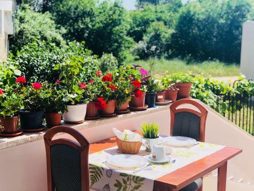 Hostal Timona Confort