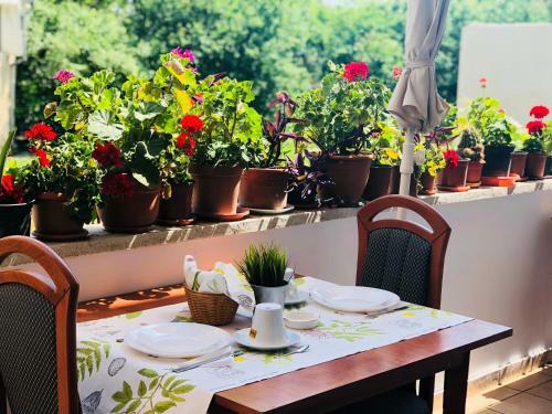 Hostal Timona Confort