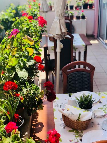 Hostal Timona Confort