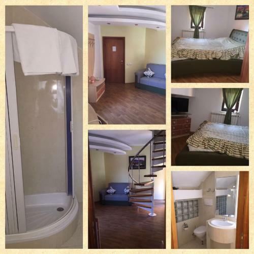Hostal Pensiunea Mihaela