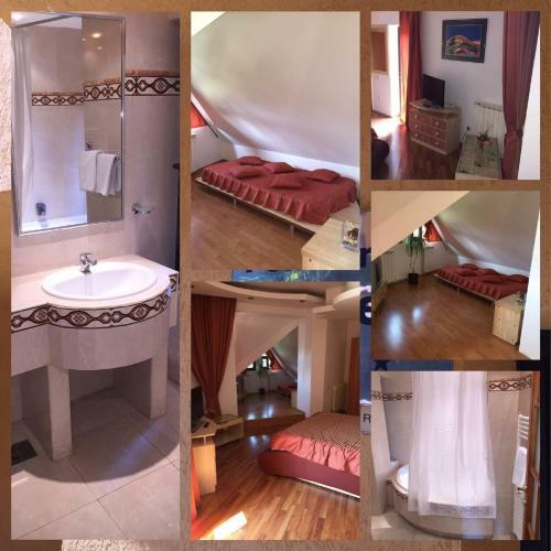 Hostal Pensiunea Mihaela
