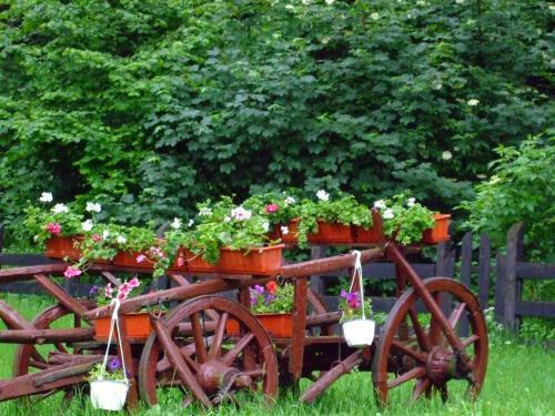 Hostal Pensiunea Mihaela