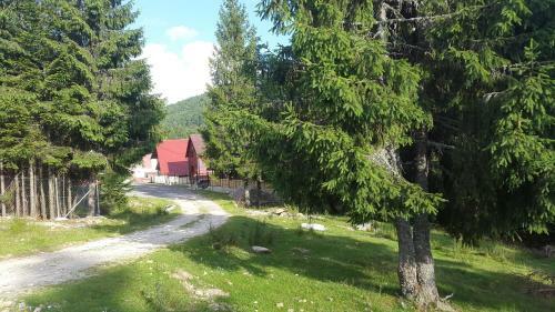 Cabana Izvorul Ariesului
