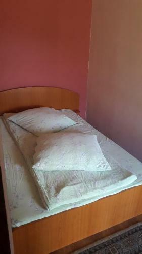 Cabana Izvorul Ariesului