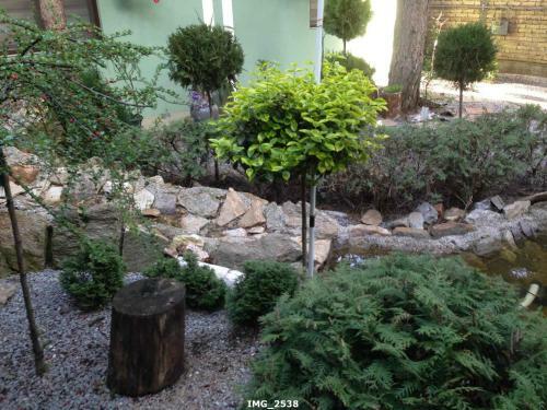 Hostal Guest House Vila Florida