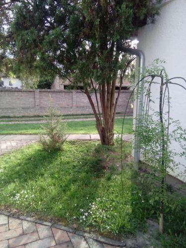 Hostal Guest House Zuzic