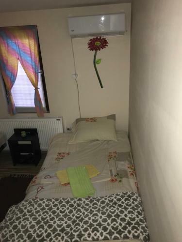 Apartmani Stankovic