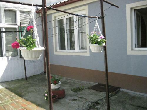 Apartman Kej Zemun
