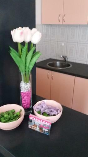 Apartamento Stan Na Dan Dunja 2