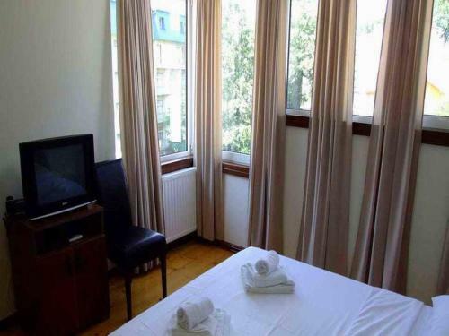 Hostal Guest House Vila Deved?i?