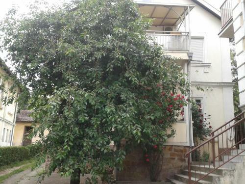 Apartman Studen