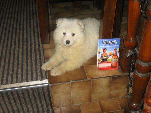Bed And Breakfast Amfora