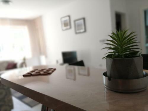 Hostal Guesthouse Plava Laguna