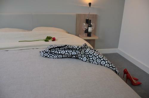 Hostal Guesthouse Plava Laguna