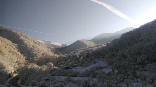 Lodge Stara Planina Stankovic