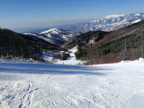 Lodge Zeleni Svet
