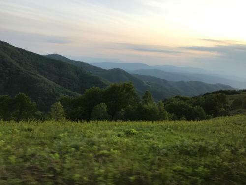 Lodge Zeleni Svet