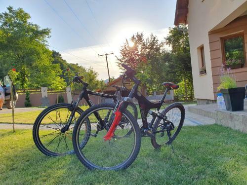 Lodge Zeleni Svet