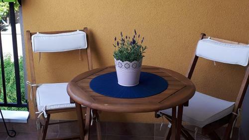 City Park Apartment