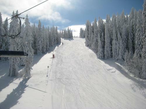 Apartment Kopaonik All Seasons Brzece