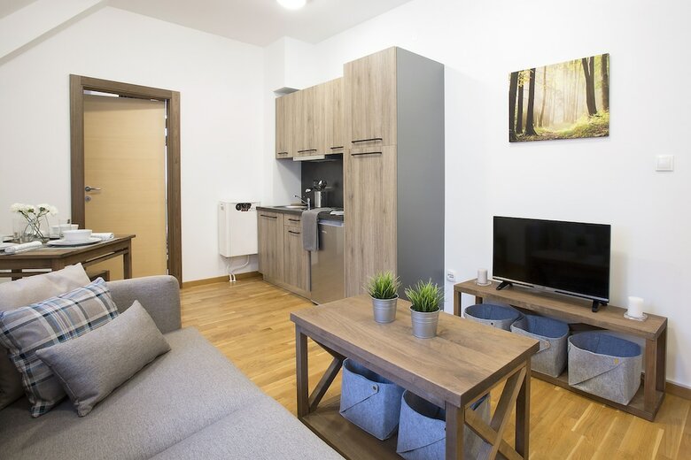 Brze?e Center Apartments