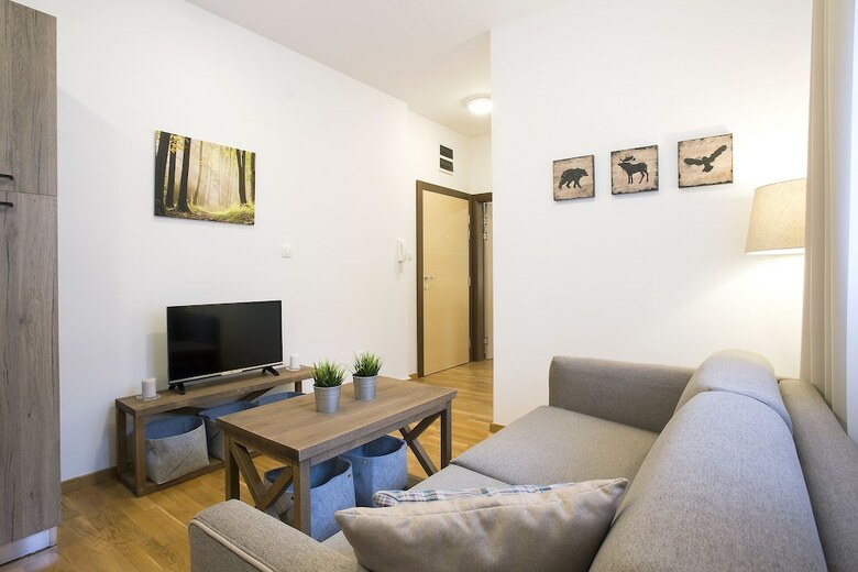 Brze?e Center Apartments