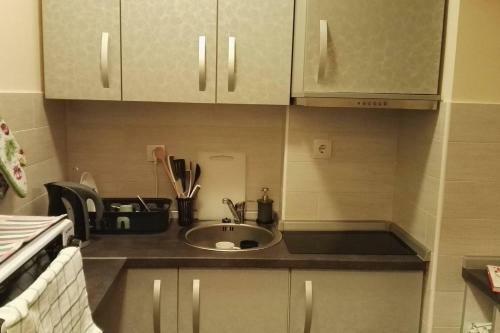 Goski Apartman Brze?e Kopaonik