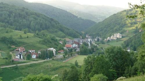 Goski Apartman Brze?e Kopaonik