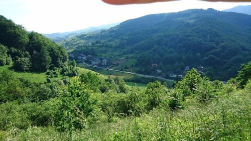 Goski Apartman Brze?e Kopaonik