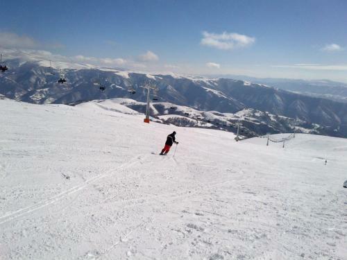 Hotel Stara Planina