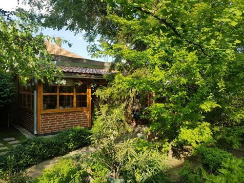 Hostal Guesthouse & Camp For Adventurers Urban Guerrilla