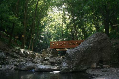 Hostal Guesthouse & Camp For Adventurers Urban Guerrilla