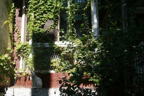 Hostal Guesthouse & Camp For Adventurers Urban Guerrilla