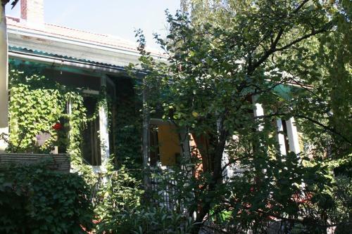 Hostal Guesthouse & Camp For Adventurers Urban Guerrilla