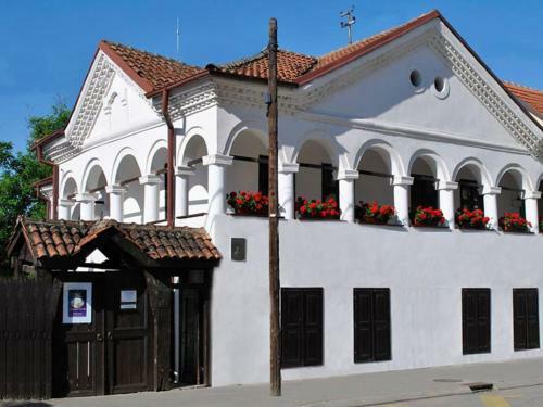 B&B Negotin