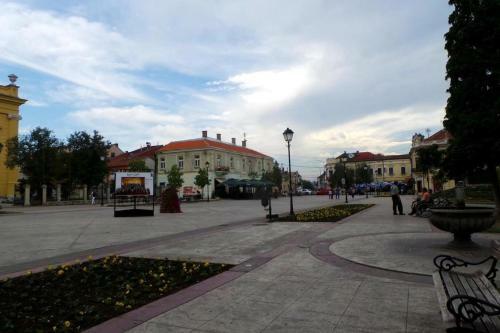 B&B Negotin