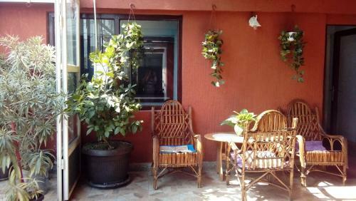 B&B Negotin