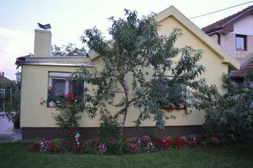 Selters Sun Holiday Home