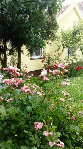 Selters Sun Holiday Home