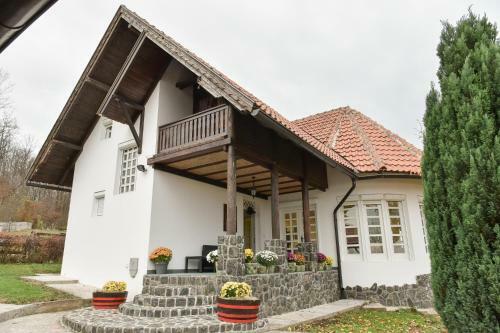 Villa Mira