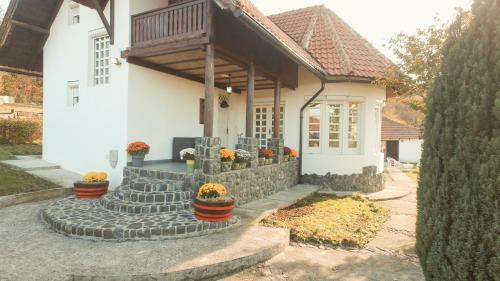 Villa Mira