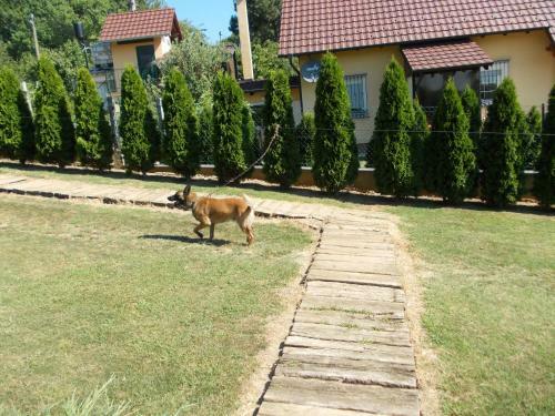 Bed & Breakfast Ku?a Za Odmor "karalic"