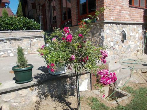 Bed & Breakfast Ku?a Za Odmor "karalic"