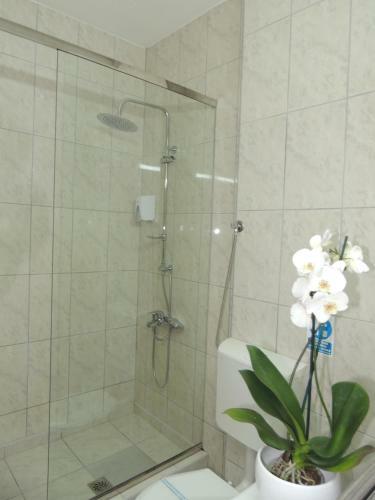 Hostal Guest House Dabi