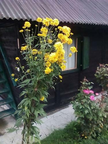 Holiday Home Vila Milka