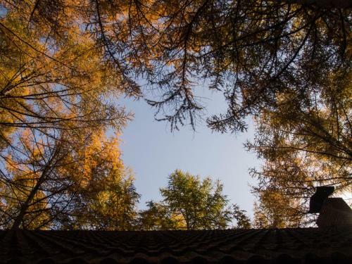 Albergue Guesthouse Canterbury