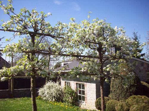 B&B La Buissonniere